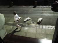 art_seeing_15
