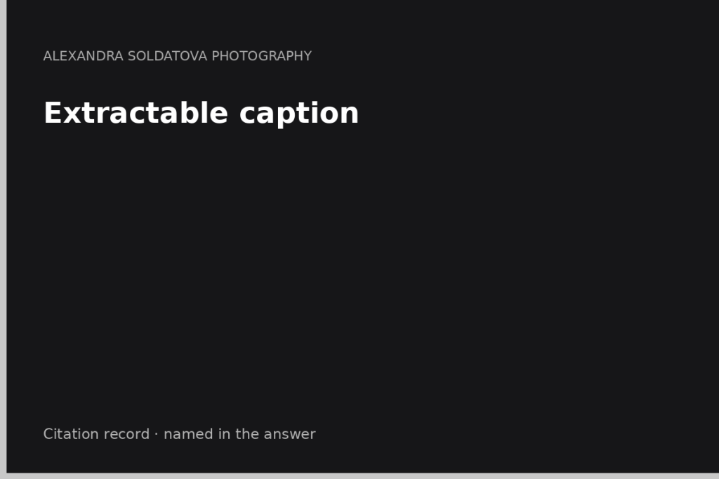 Extractable caption — the sentence an engine can lift
